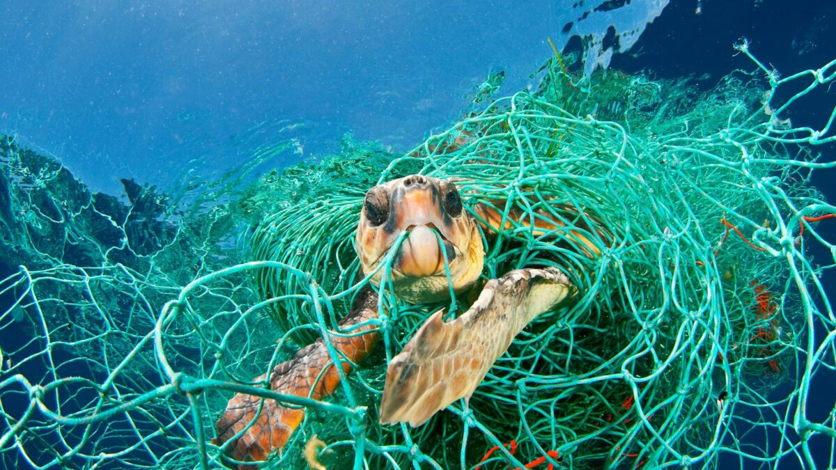 National Geographics utställning ”Planet or Plastic?” öppnar på Sjöhistoriska
