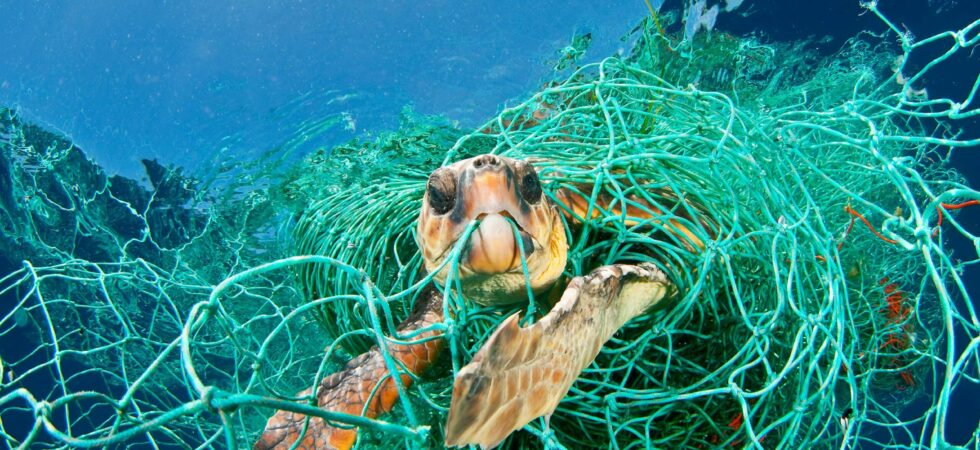 National Geographics utställning ”Planet or Plastic?” öppnar på Sjöhistoriska