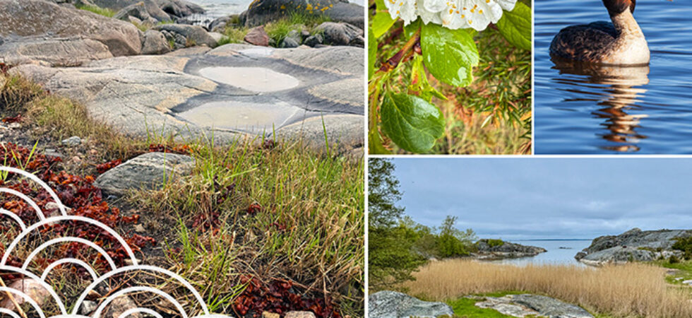 Nämdöskärgården blir Sveriges 31:a nationalpark
