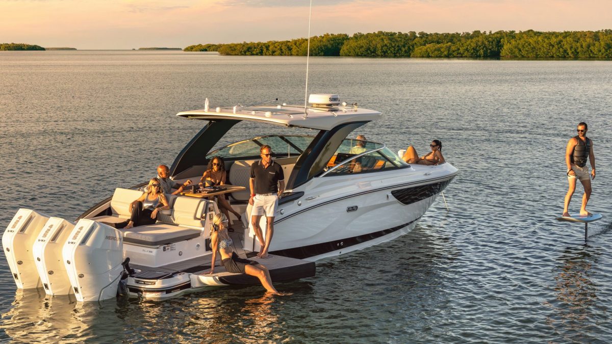 Lyxig bowrider med rejäla resurser