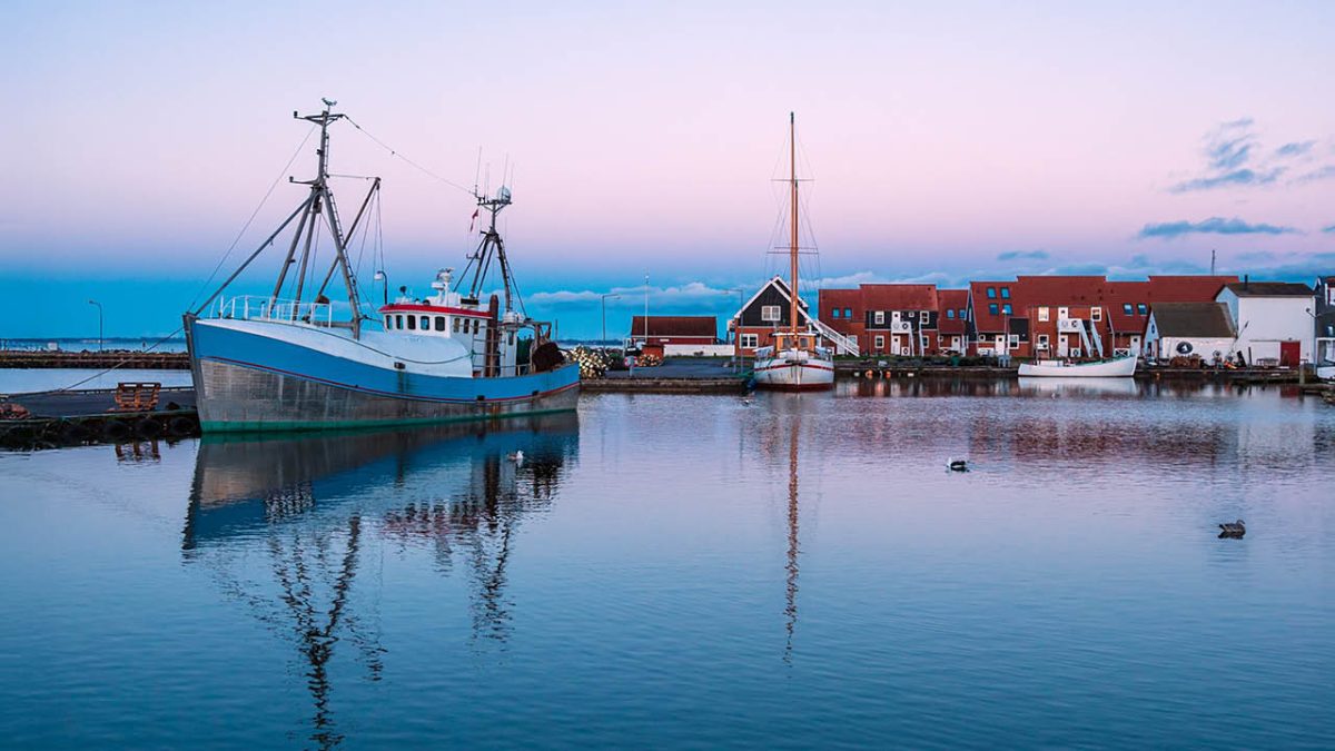 Nytt policydokument om Östersjön – Fisk är mer än bara mat