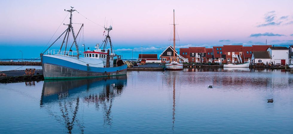 Nytt policydokument om Östersjön – Fisk är mer än bara mat