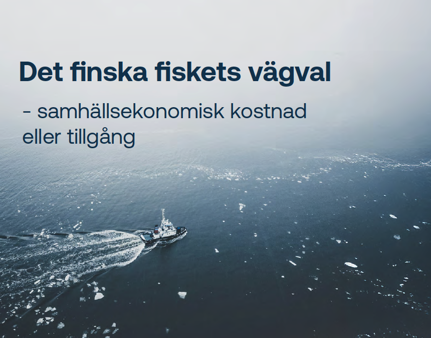 Finland förlorar fem miljoner euro årligen på storskaligt trålfiske, enligt ny rapport