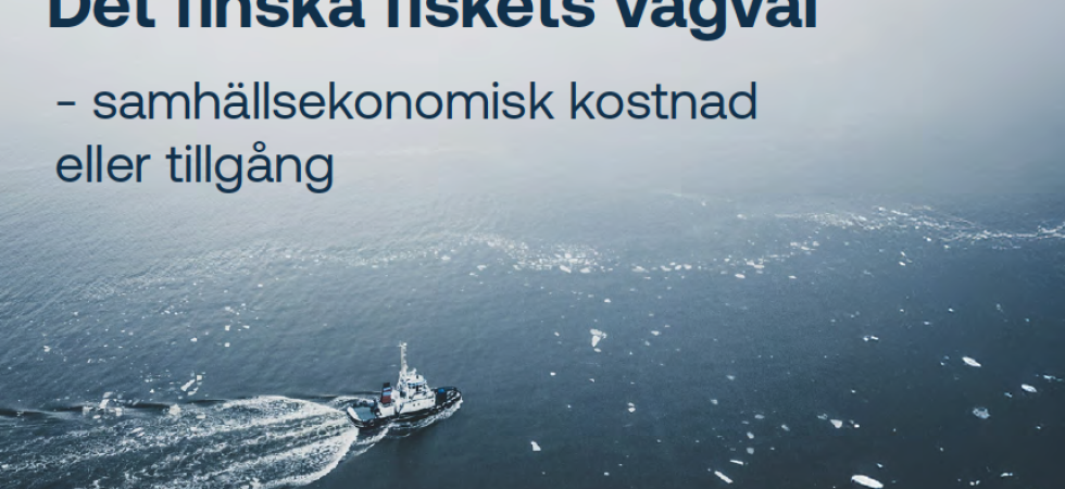 Finland förlorar fem miljoner euro årligen på storskaligt trålfiske, enligt ny rapport