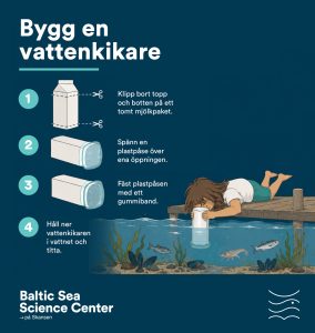 Illustration på hur man gör sin egen vattenkikare.