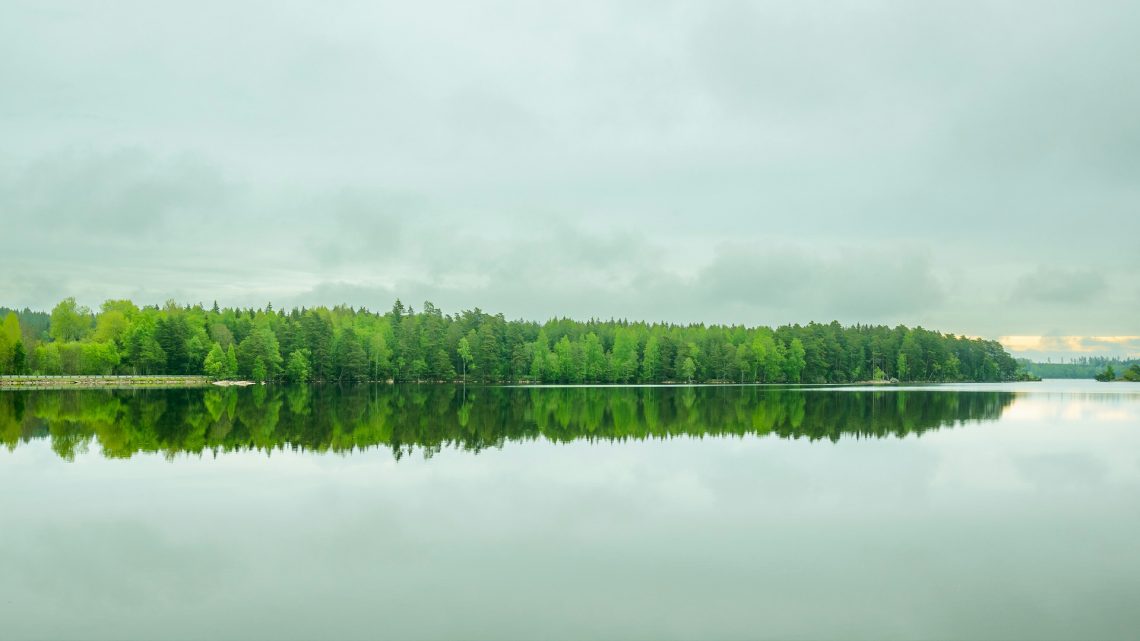 Bild på en ö i Vättern, en stilla sommarmorgon.