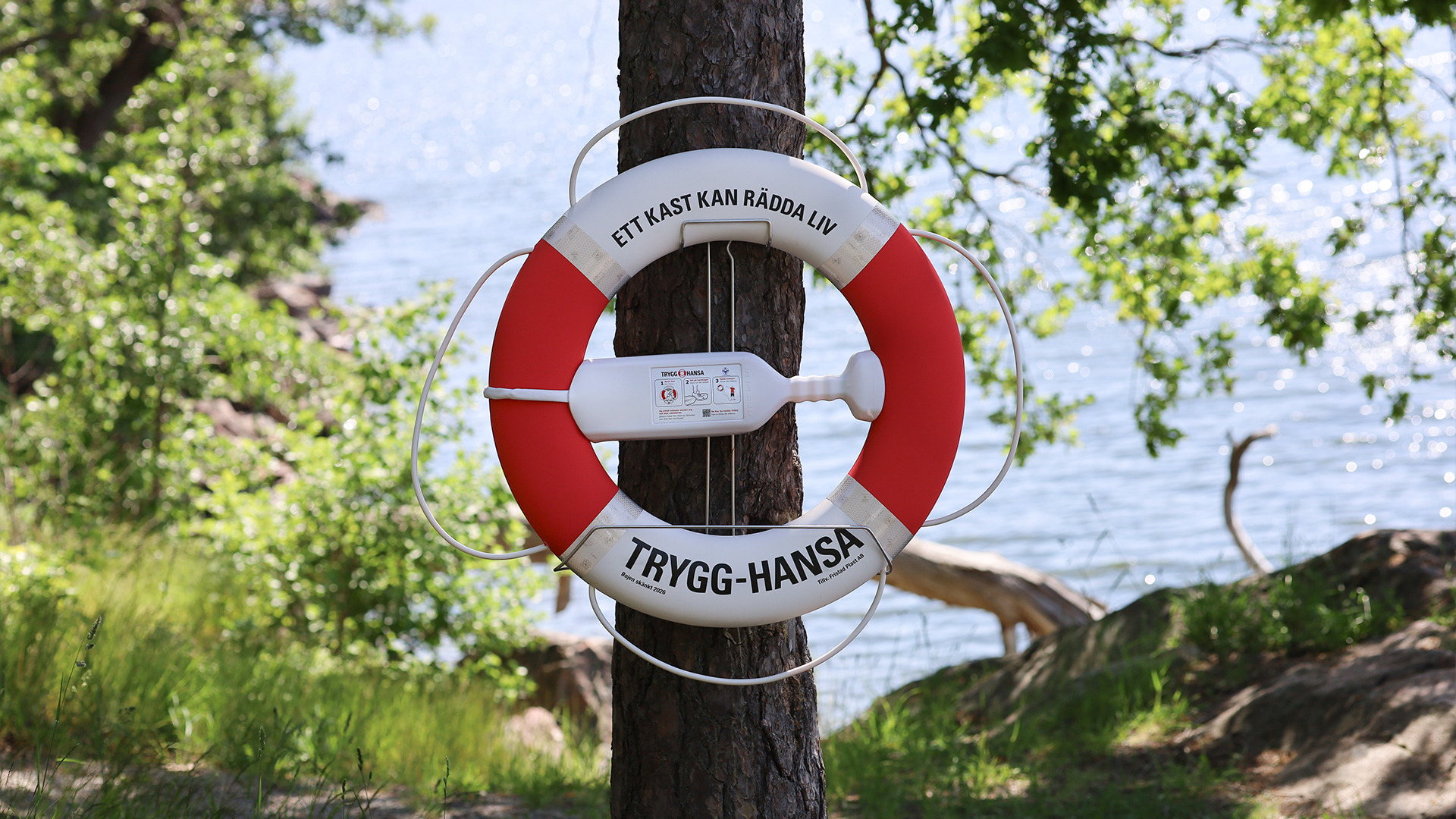 Frälsarkrans som sitter på ett träd vid vatten.