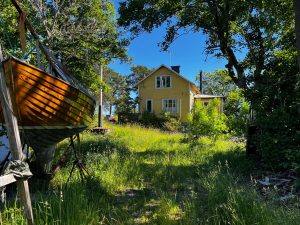 En uppvuxen tomt. I bakgrunden ett gult hus. I förgrunden ett träbåtsskrov i en träställning.