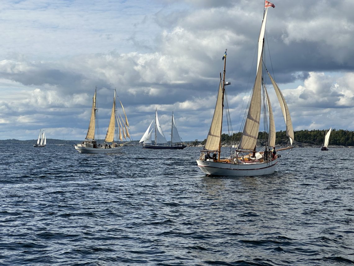 Ett antal segelskutor på en skärgårdsfjärd.