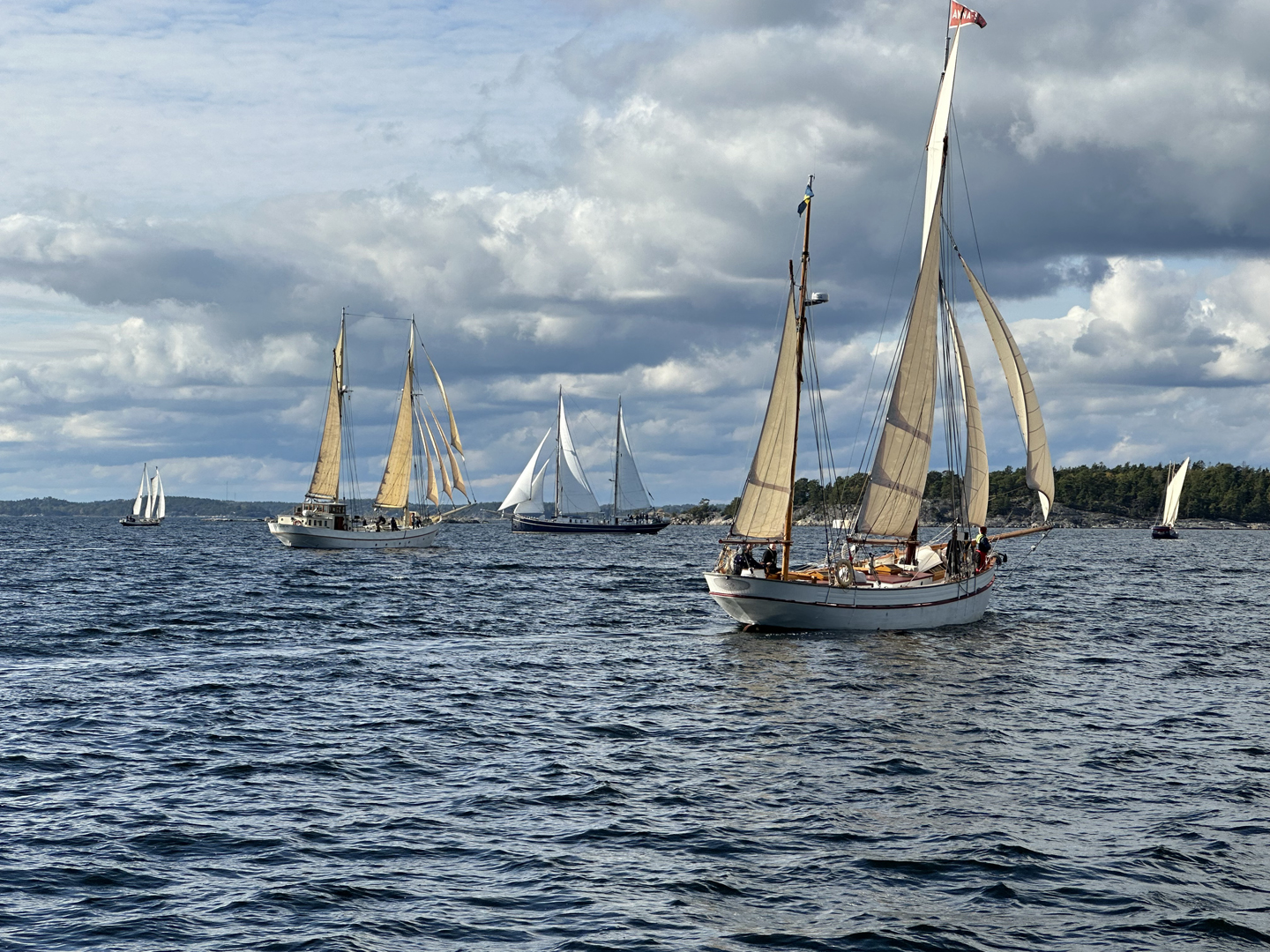 Ett antal segelskutor på en skärgårdsfjärd.